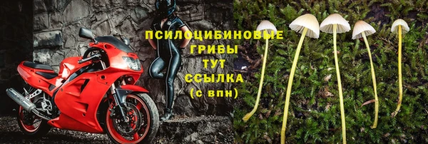 не бодяженный Армянск
