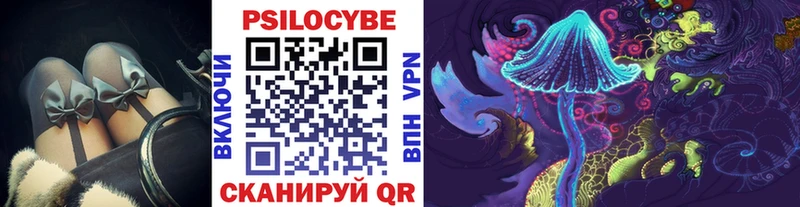 купить наркотики сайты  мега маркетплейс  Псилоцибиновые грибы Magic Shrooms  Приморск 